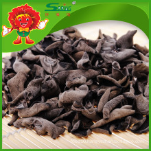 Natural dried mushroom for export fresh muer